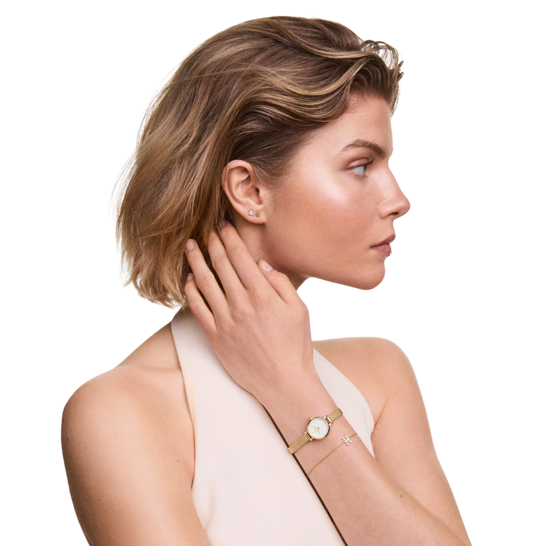 Orologio Daniel Wellington Donna DW00100745