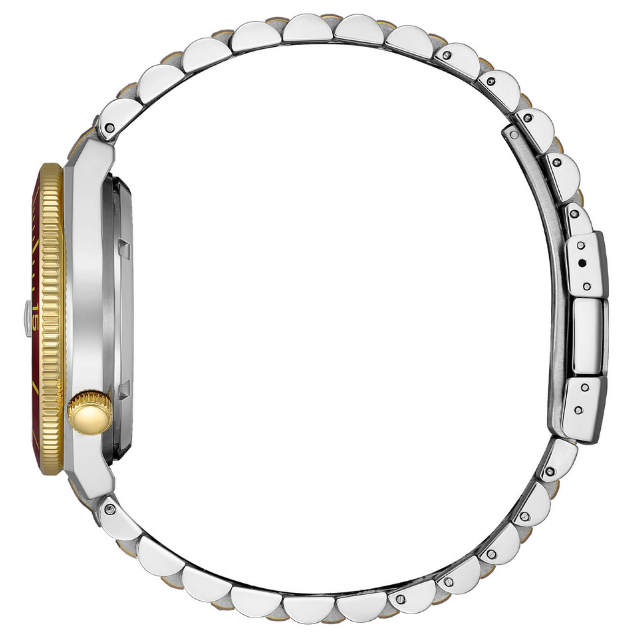 Orologio Citizen Uomo NJ0234-58X