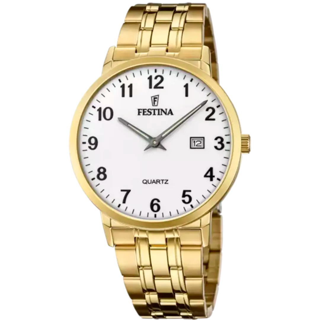 Orologio Festina Uomo F20513/1